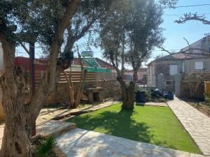 a yard with two trees and a fence at Quiet Guest house in Moúdhros