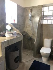 a bathroom with a shower and a toilet and a sink at Quiet Guest house in Moúdhros +2 photos