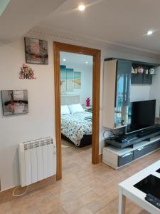 een slaapkamer met een bed en een televisie. bij Vivienda vacacional cerca de Bilbao in Galdakao