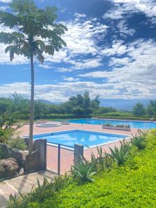 una gran piscina con una palmera al lado en casa vacacional en Anapoima, en Anapoima