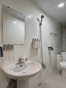 釜山的住宿－Hoho House，一间带水槽、镜子和卫生间的浴室