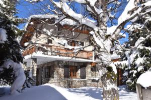 una casa en la nieve junto a un árbol en Chalet L'Olan 15 pers. 6 rms + terrain en Les Deux Alpes