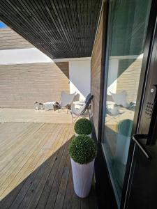 a porch with two chairs and a plant on a deck at Platinum VIP - Aurora luxury house in Tromsø