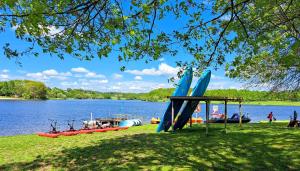 a group of boats on a lake with surfboards at Les logements insolites de la Base Nautique in Verneuil