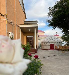a greenhouse and a building with roses in a yard at NUKUS GUEST HOUSE in Nukus
