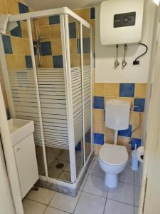 een kleine badkamer met een toilet en een douche bij [Piscina Privata] Tiger Home, Toscana in Capannori