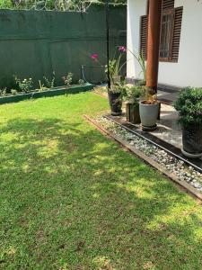 Garden sa labas ng Serendip Villa&Home Stay Talalla Sri Lanka