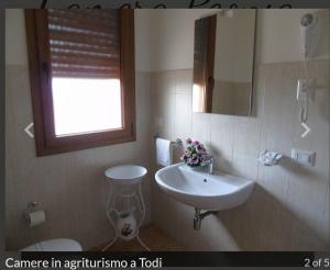 bagno con lavandino, finestra e servizi igienici di Agriturismo Camera Rosa a Todi
