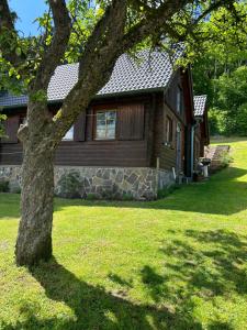 a house with a tree in front of it at Blockhütte Engeln-Eifel in Kempenich