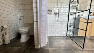 a bathroom with a toilet and a shower and a sink at Zöld 21 Cottage in Őrtilos +15 photos
