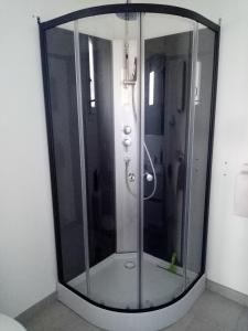 a shower with a glass door in a bathroom at Studio entre terre et mer in Saint-Romain-de-Benet