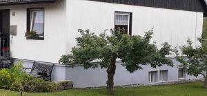 Zahrada ubytování Ferienwohnung Belchenblick + 2 fotografie