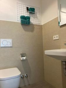 a bathroom with a toilet and a sink at Gästehaus Geiseltalsee in Mücheln +58 photos