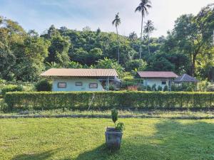Zahrada ubytování Samui Camping Farm + 25 fotografií