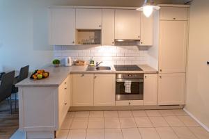 Kuchyňa alebo kuchynka v ubytovaní Triton Apartments