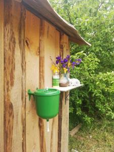 a green bird bath on a wooden wall at Pine Nest Glamping in Vilnius