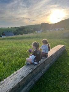 deux petites filles assises sur un bûcher dans un champ dans l'établissement Domki na Zapotocu, à Grywałd