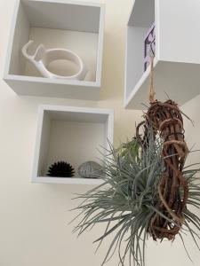 Fotografie z fotogalerie ubytování B&B Cafe' Fausu v destinaci Veglie