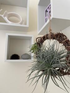 Fotografie z fotogalerie ubytování B&B Cafe' Fausu v destinaci Veglie