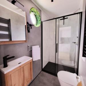 a bathroom with a shower and a toilet and a sink at Apartament na wodzie Augustów in Augustów