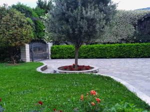 a tree in the middle of a garden with flowers at El Sol Apartmani in Bar