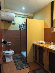 łazienka z toaletą i umywalką w obiekcie Studio Katerina w mieście Florina