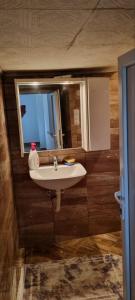 a bathroom with a sink and a mirror at Apartman Dženix in Sarajevo