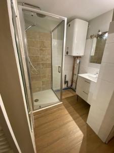a shower with a glass door in a bathroom at T2 Saint Lary Soulan village in Saint-Lary-Soulan +7 photos