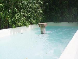 uma piscina com um pilar de pedra na água em Quinta da Maínha - Charming Houses em Braga