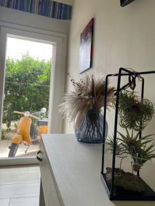 eine Küche mit einer Arbeitsplatte mit Pflanzen darauf in der Unterkunft B&B Cafe' Fausu in Veglie
