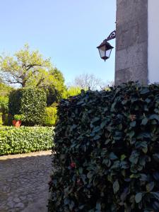 um arbusto ao lado de um edifício com uma luz de rua em Quinta da Maínha - Charming Houses em Braga