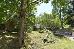 a group of people sitting in a park at Casuta dintre brazi in Râșca +37 photos