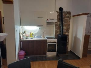 a small kitchen with a sink and a stove at Apartment K&M in Senj