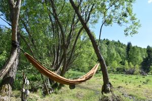 a hammock hanging from a tree in a field at Casuta dintre brazi in Râșca