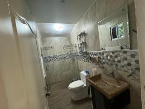a bathroom with a toilet and a sink and a shower at Casa en Santiago por el Homs in Santiago de los Caballeros +12 photos