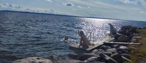 Loodusmaastik puhkemaja lähedal