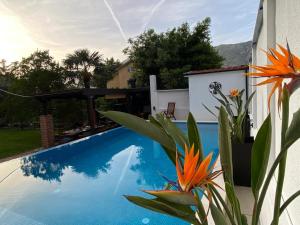 a swimming pool in the backyard of a house at Villa Nikola in Kotor