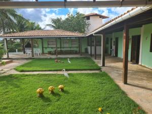 einen Garten mit Pilzen im Gras neben einem Haus in der Unterkunft HOTEL FAZENDA BOLANDEIRA in Conde