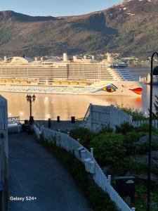 a cruise ship in the water next to a harbor at Duży apartament w centrum in Ålesund