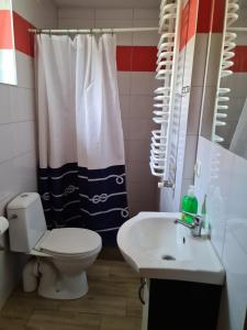 La salle de bains est pourvue de toilettes, d'un lavabo et d'un rideau de douche. dans l'établissement ALFA Noclegi, à Jędrzejów