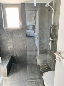 a bathroom with a shower and a toilet and a sink at P C Side NEST in Xylokastro