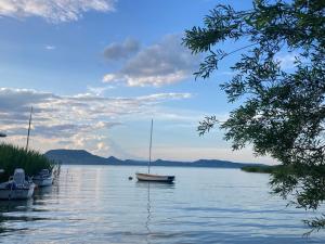 Paesaggio naturale nelle vicinanze dell'appartamento
