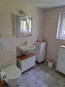 y baño con lavabo, aseo y espejo. en Vikend hiša Vrhe en Senovo