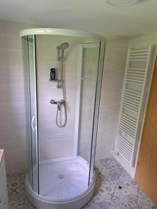 y baño con ducha y puerta de cristal. en Vikend hiša Vrhe en Senovo