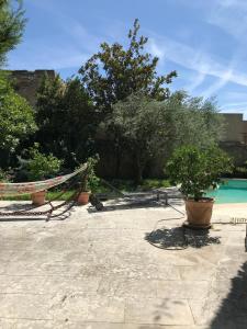 a garden with a hammock and a swimming pool at Thebertisa in Valréas