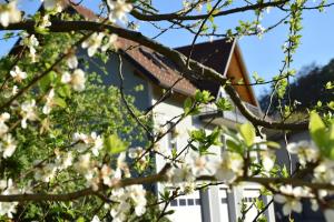 Foto dalla galleria di Ferienhaus am Hof Zotter a Riegersburg