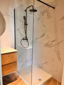 eine Dusche mit Glastür im Badezimmer in der Unterkunft Ostendeau - stijlvol appartement in hartje Oostende in Ostende + 16 Fotos