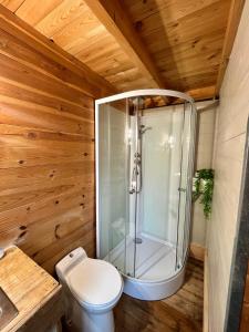 a bathroom with a shower and a toilet at LES CHALETS DE VANESS' le Mahé in Digoin