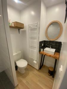 a bathroom with a toilet and a sink and a mirror at Chalet bain nordique - Calm & relax - Wifi-Netflix-AppleTV-Canal in Bellême +22 photos