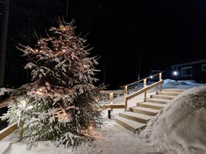 a christmas tree covered in snow next to some stairs at Lomatalo Honkamäki in Kuhmalahti